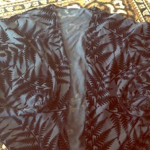 Sheer Velvet Shawl